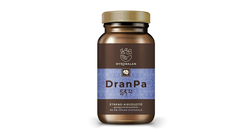 DranPa